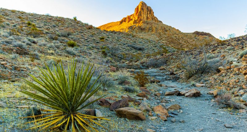 Park Peak in Nevada