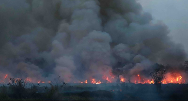 Climate change induced fires burning a forest somewhere