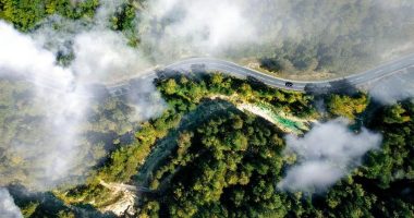 A road in the forest in New South Wales where Critical Green Minerals was looking into building a plant.