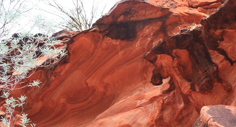 Landscape of the Northern Territory