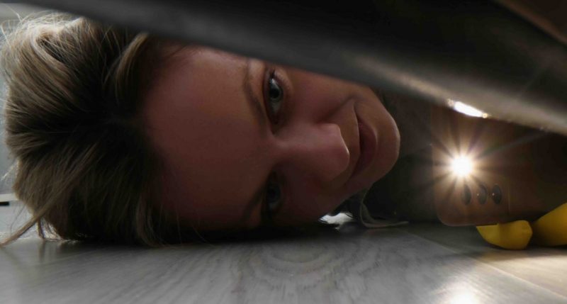 Looking for something