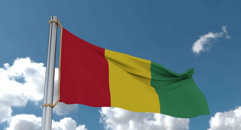 Guinea flag