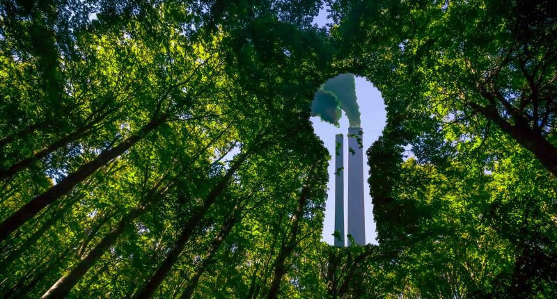 Greenwashing concept