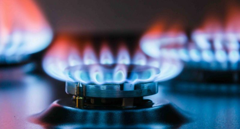 Household gas stovetop concept