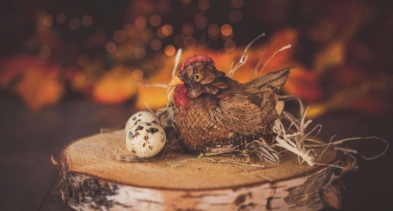 Chicken and the egg reference