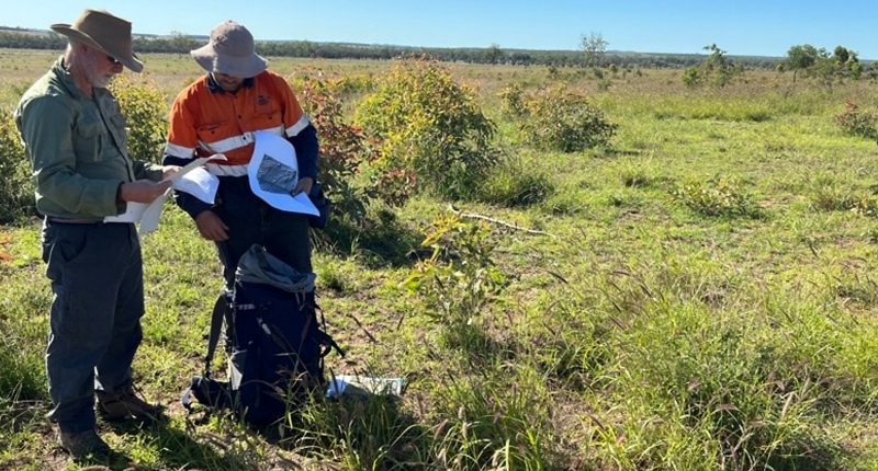 Two Trigg Minerals workers pour over a map in a green grass field.