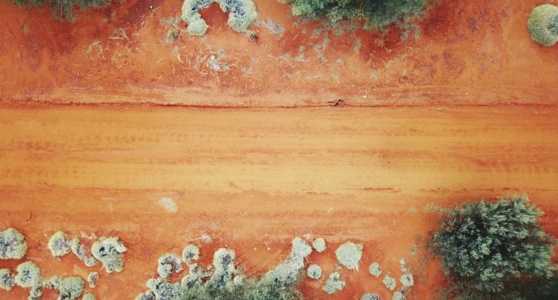 A brown dirt access road on Torque Metals' Paris deposit.