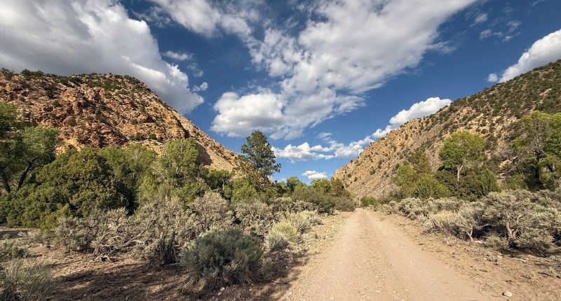 A dirt road running through the Antimony Canyon project in Utah.