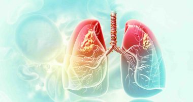 Lung imaging concept
