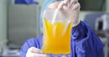 Blood plasma in a bag