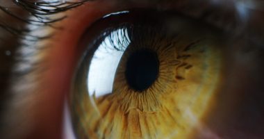 Eye