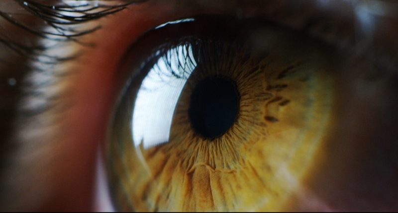 Eye