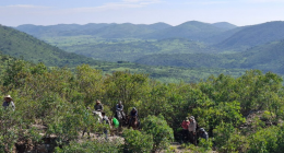 The Los Lirios Antimony Project