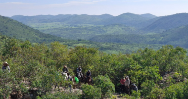 The Los Lirios Antimony Project