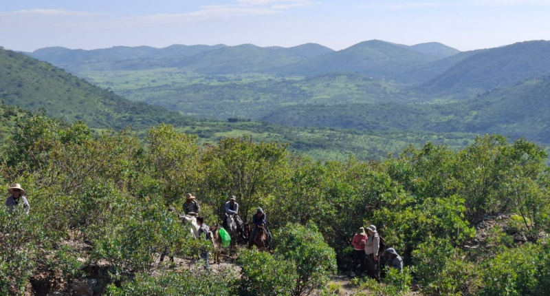 The Los Lirios Antimony Project