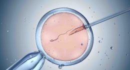 In vitro fertilisation