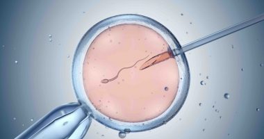 In vitro fertilisation