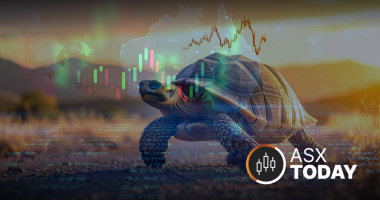 The ASX Today feature image with a yellow turtle (FLAT) silhouette beside The Market Link column branding.