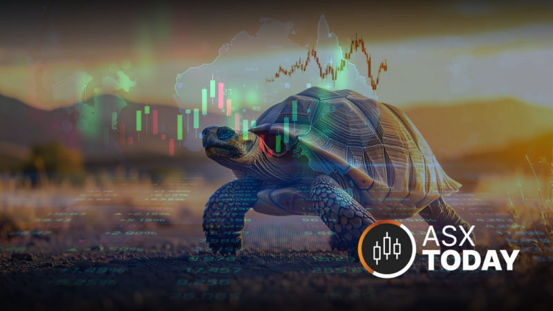 The ASX Today feature image with a yellow turtle (FLAT) silhouette beside The Market Link column branding.