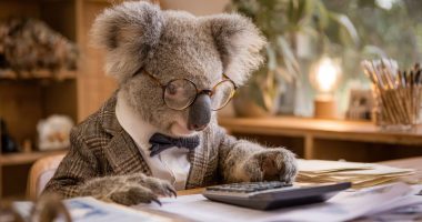 Koala trading concept