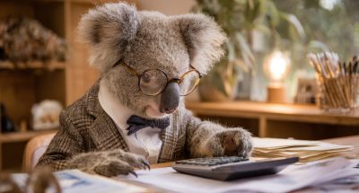 Koala trading concept