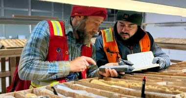 AT4 US Projects Manager Dr Mike Feinstein and Senior Geologist Jairo Trevino reviewing core from the Emma area.