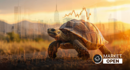 The words "ASX Market Open" appear alongside a Turtle ( FLAT ) with a market chart graphic floating above it. The whole image is faded yellow and orange.