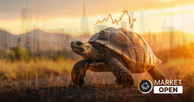 The words "ASX Market Open" appear alongside a Turtle (FLAT) with a market chart graphic floating above it. The whole image is faded yellow and orange.
