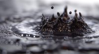 Crown Water Splash in crude oil Black Liquid Close-up