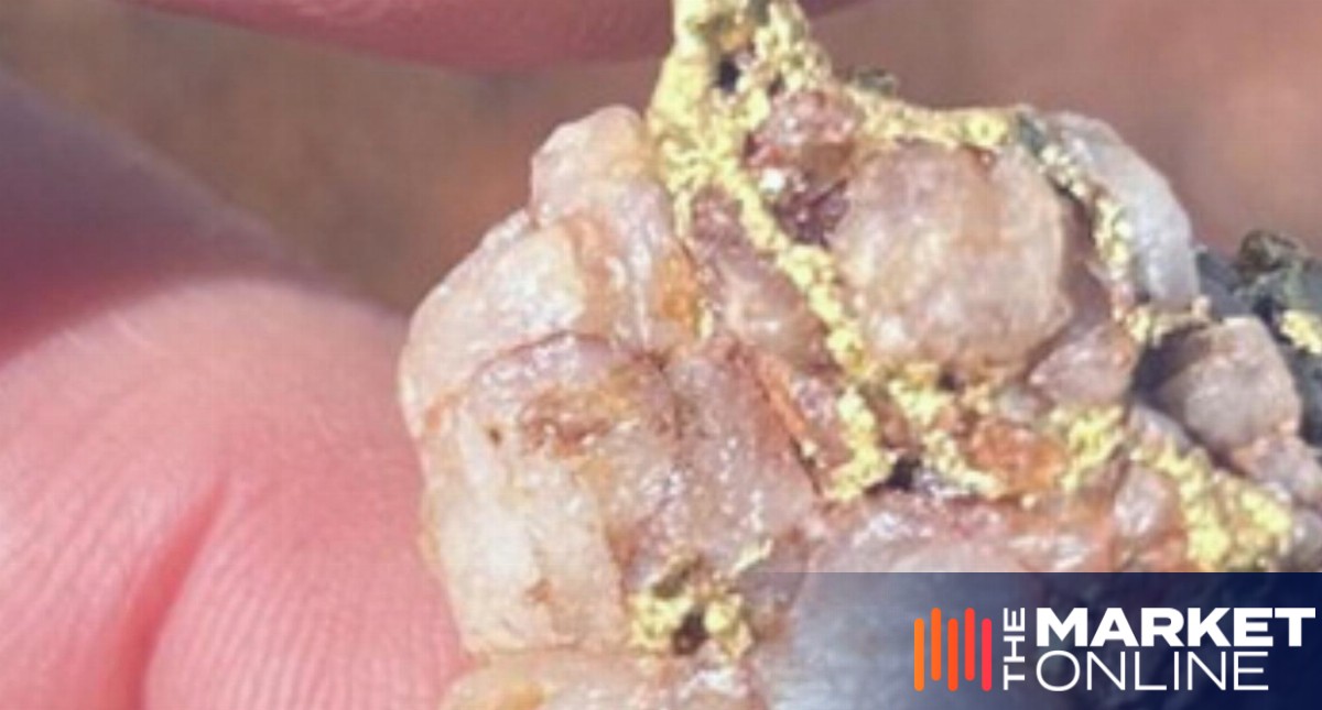 ‘Materially improved our understanding’: Accelerate hits further shallow gold at Paris Gift