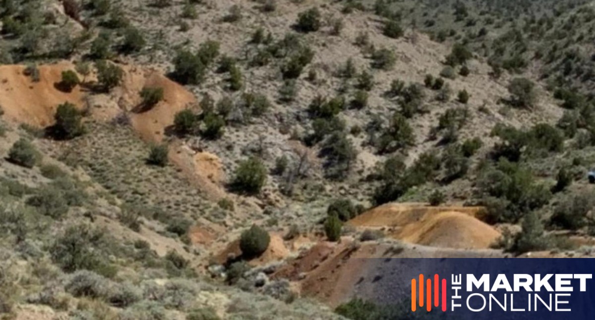 Mammoth Minerals hits shallow gold as it uncovers further Blue Dick potential