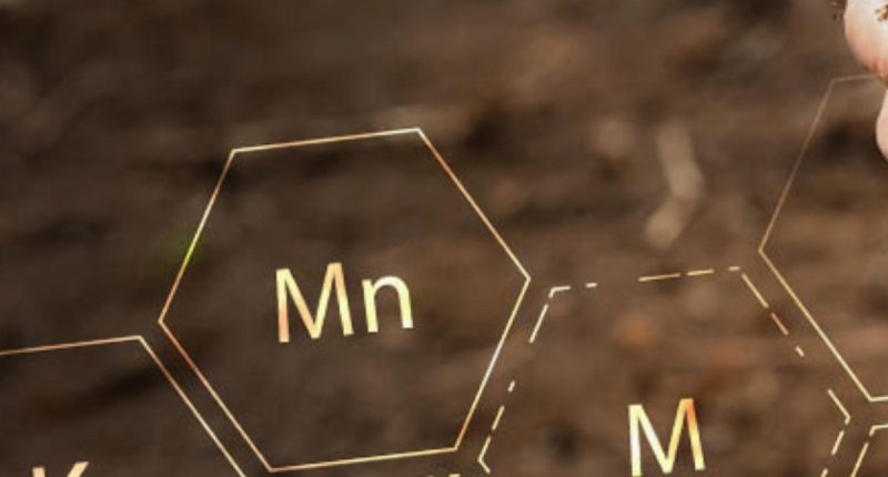 Canadian Phosphate is building a portfolio of advanced, high-quality sedimentary phosphate assets across North America.